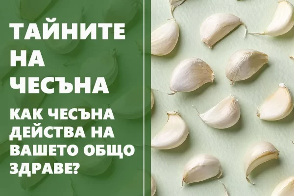 blog garlic - greenlabox.bg