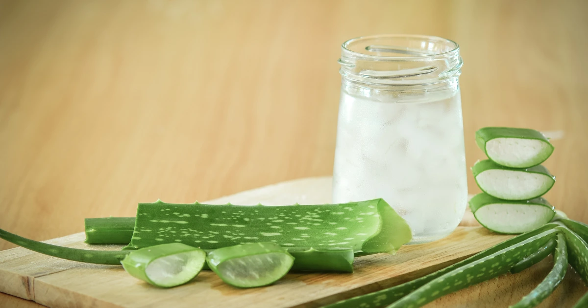 kakvo-lekuva-rastenieto-aloe-vera