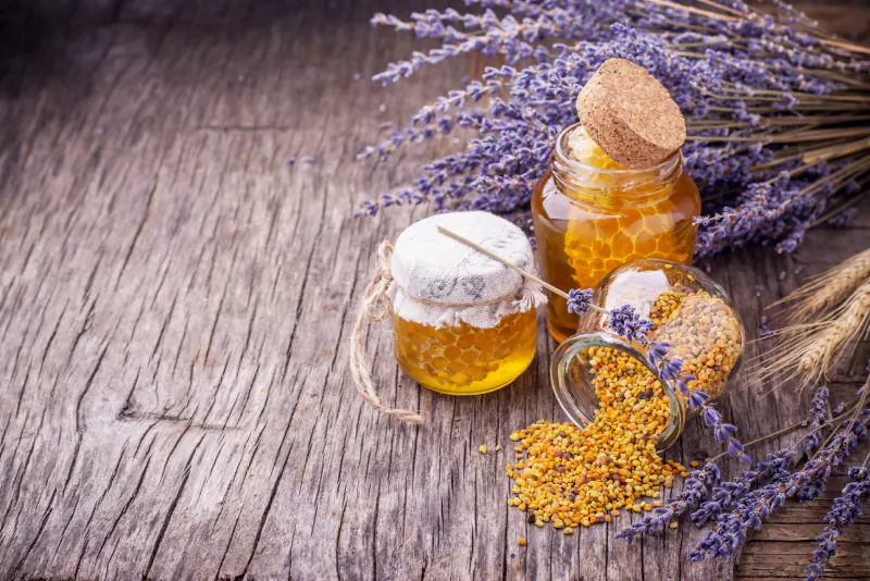 pchelen-prashec-kakvi-polzite-i-zashto-se-priema