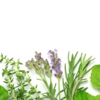 blood purification-greenlabox.bg