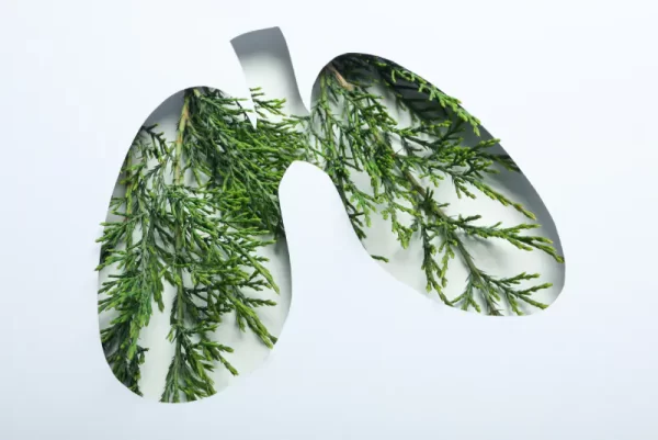 herbs for lung-greenlabox.bg