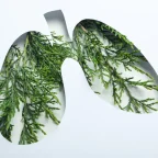 herbs for lung-greenlabox.bg