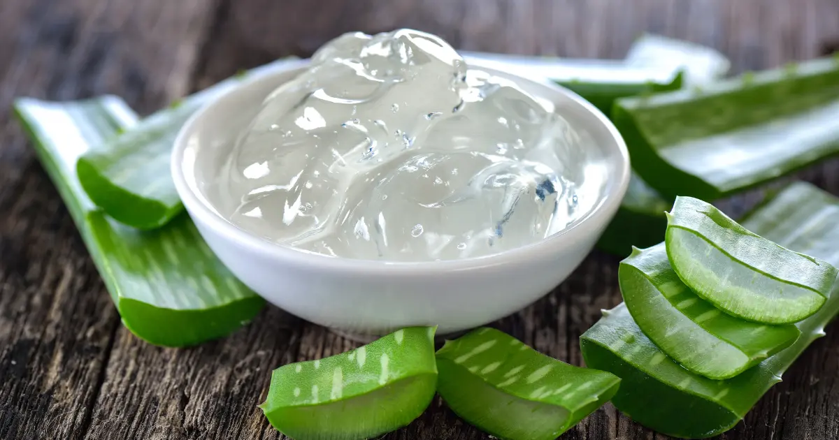 kakvo-e-aloe-vera-i-kak-se-polzva