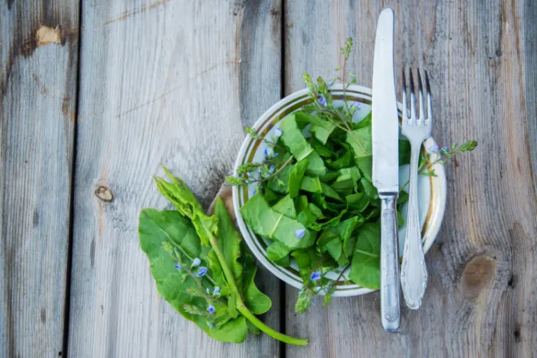 menopause herbs-greenlabox.bg