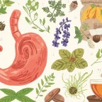 Билки при проблеми със стомаха: какво помага при подуване, киселини и „нервен стомах“