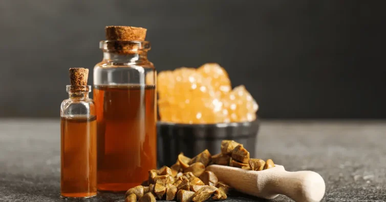 Снимка на пчелни продукти - масло от прополис, пчелна пита и пчелен клей