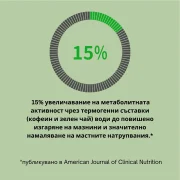 Графика, показваща 15% увеличение на метаболитната активност чрез термогенни съставки като кофеин и зелен чай, водещо до по-бързо изгаряне на мазнини.