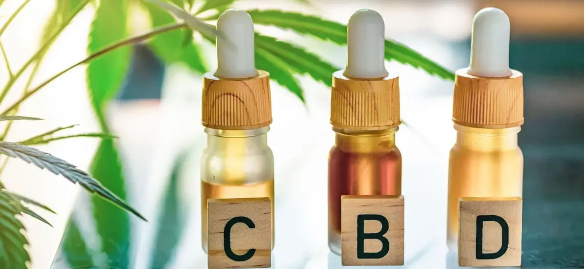 CBD масла в капкомерни флакони на фона на конопени листа