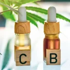 CBD масла в капкомерни флакони на фона на конопени листа